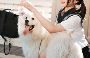 从此不想穿其他衣服，河豚抚子睡衣图包，小心！一不小心就会爱上长时间的宅家。