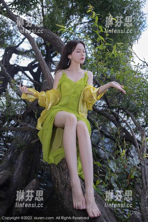 秀人网 - 会飞的小虎牙图集：拿走吧，透明既如此美丽，下载不犹豫！